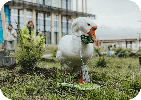 shutterstock_1786696019 2