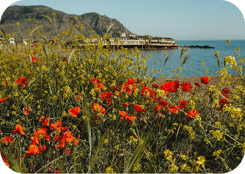 shutterstock_1786696019 3