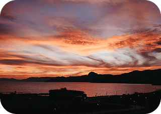 shutterstock_1786696019 3